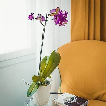 Eliana Hotel Sorrento