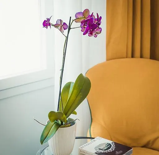 Eliana Hotel Sorrento