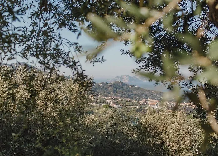 Eliana Hotel Sorrento